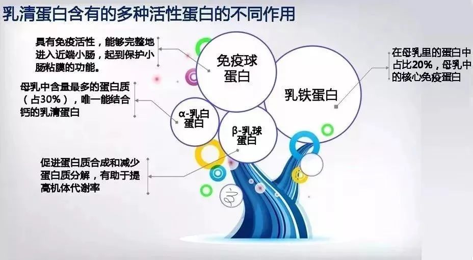 为什么建议宝宝吃乳铁蛋白？？？乳铁蛋白不得不知的好处