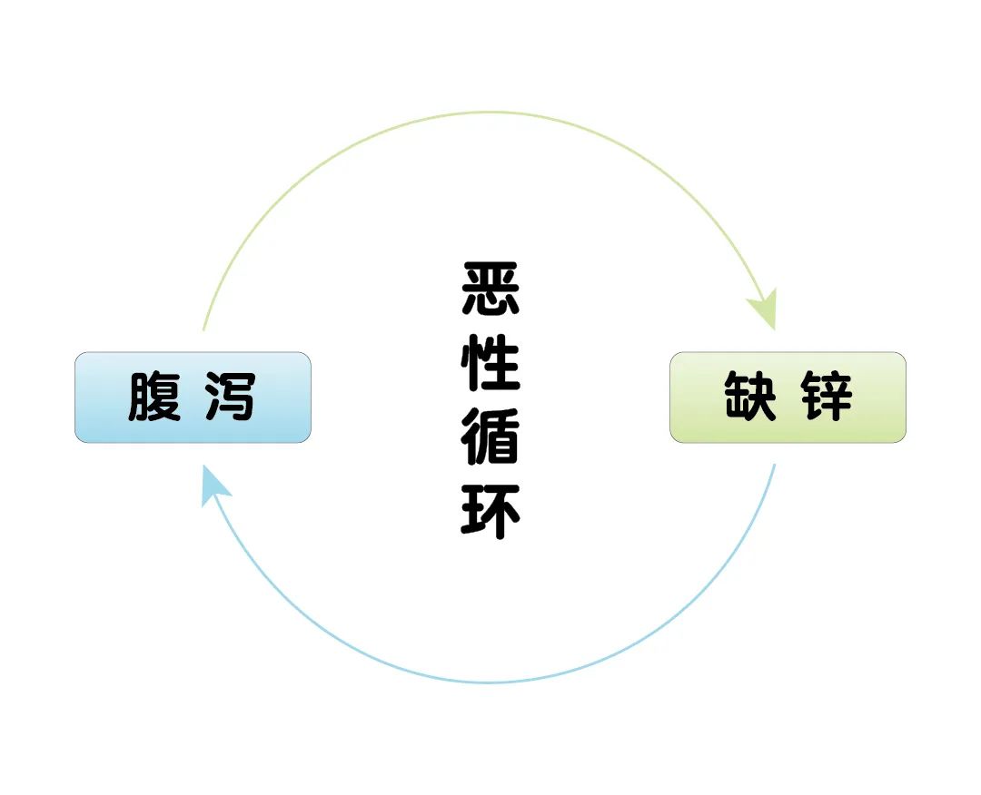 宝宝腹泻期间，，为什么要补锌？？